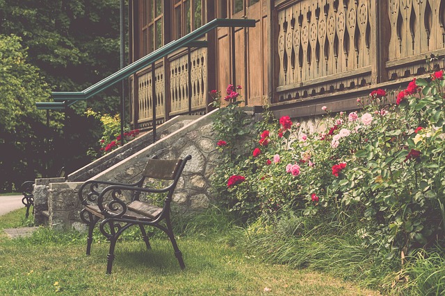 体育不仅仅 体育不仅仅