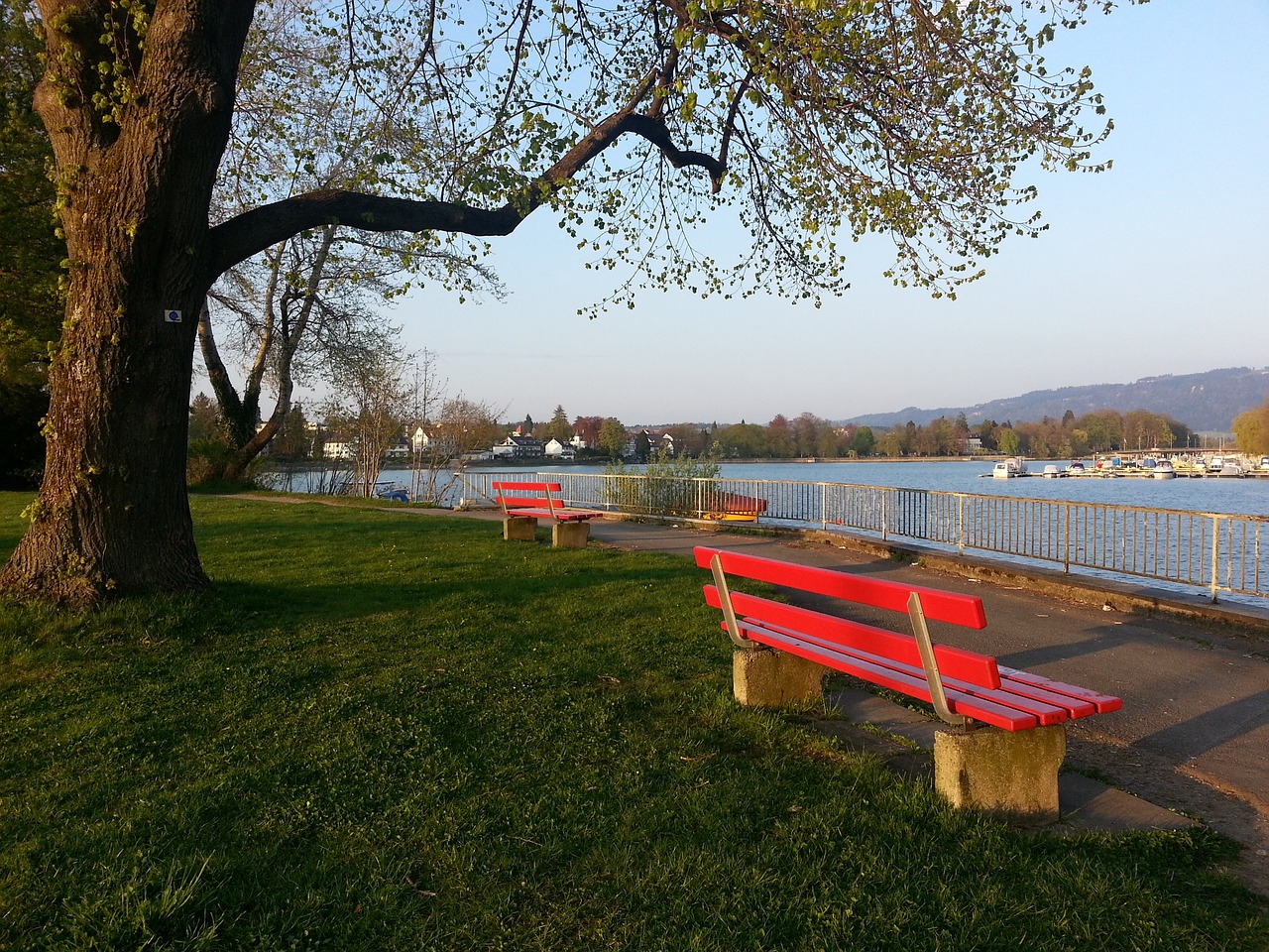 风格征服球 风格征服球