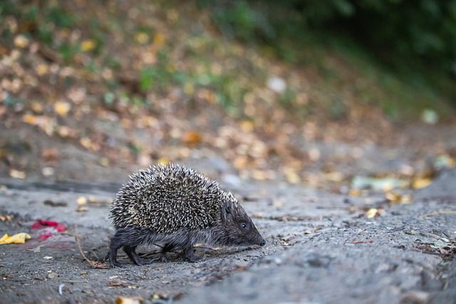 但在零封次 但在零封次