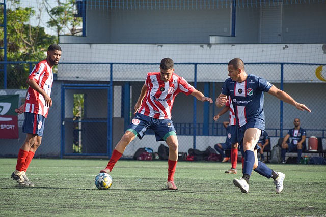 身体的能量 身体的能量